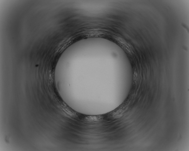 X0000092020381200709061335