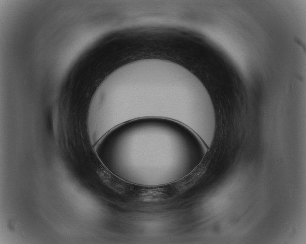 X0000092020382200709061335