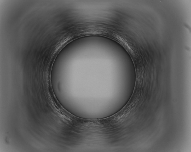 X0000092020386200709061334