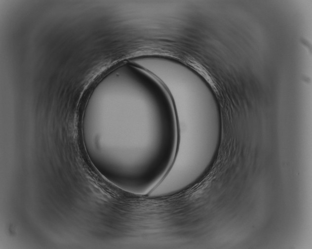 X0000092020387200709061334