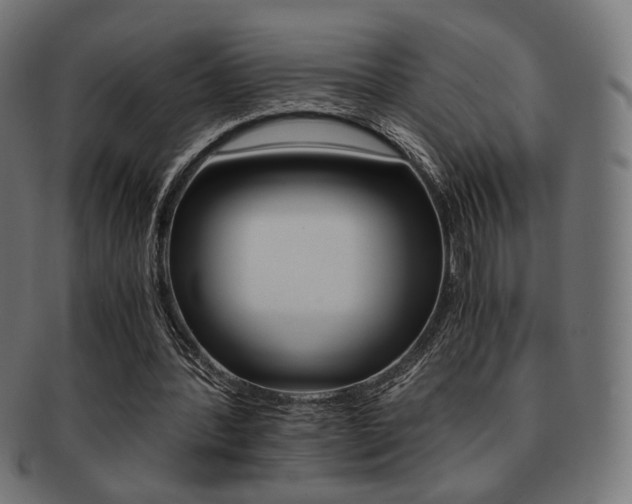 X0000092020388200709061334