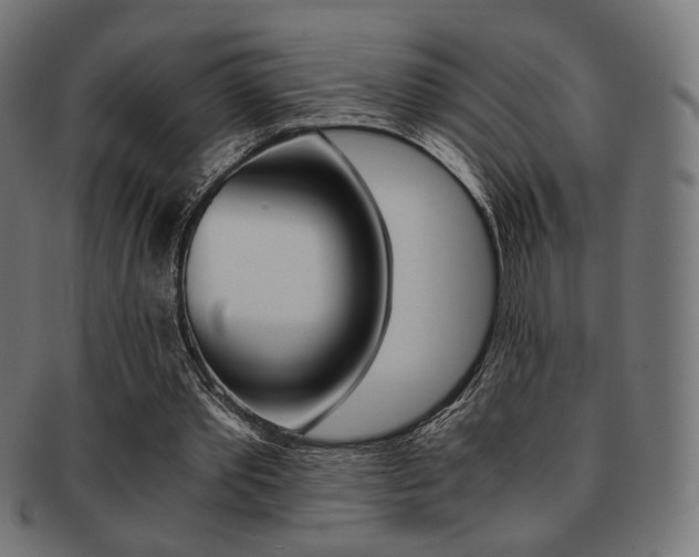 X0000092020389200709061334