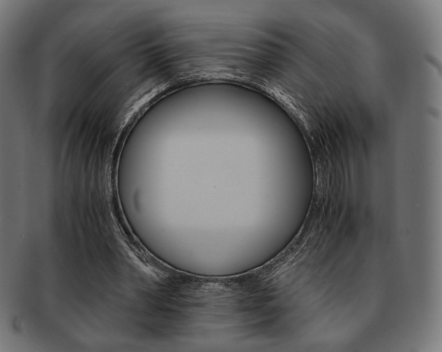 X0000092020390200709061334