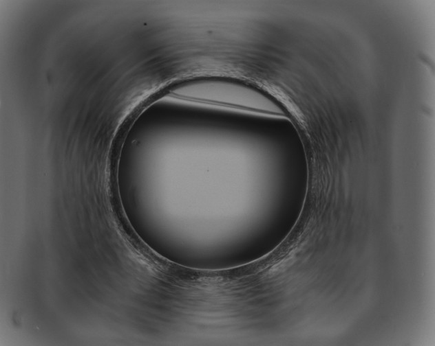 X0000092020391200709061334