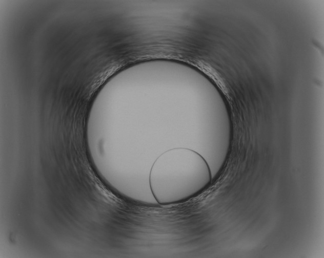X0000092020393200709061334