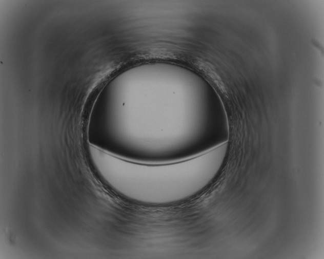 X0000092020395200709061334