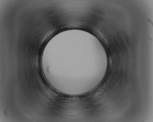 X0000092020396200709061334