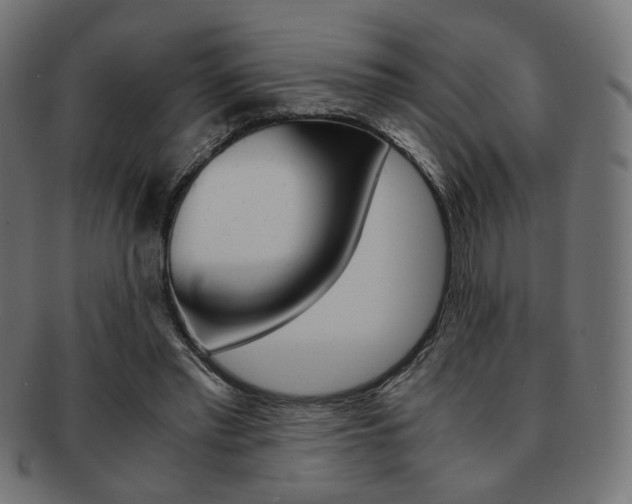 X0000092020397200709061334