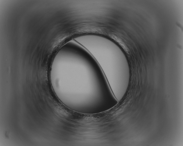 X0000092020399200709061334