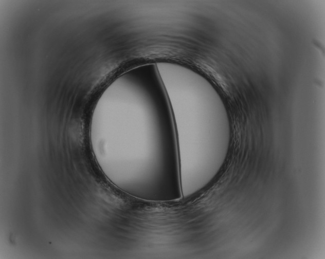 X0000092020400200709061334