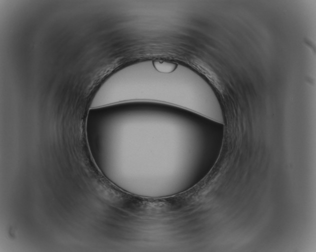 X0000092020401200709061334