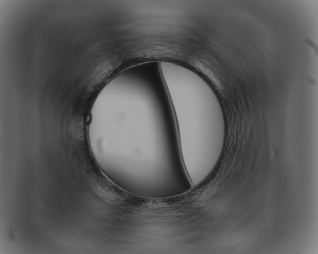 X0000092020403200709061334
