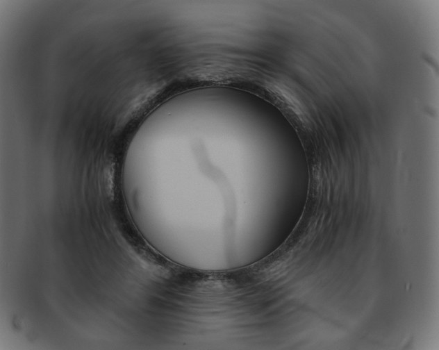 X0000092020404200709061334