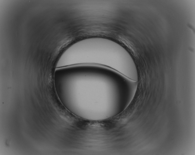X0000092020407200709061334