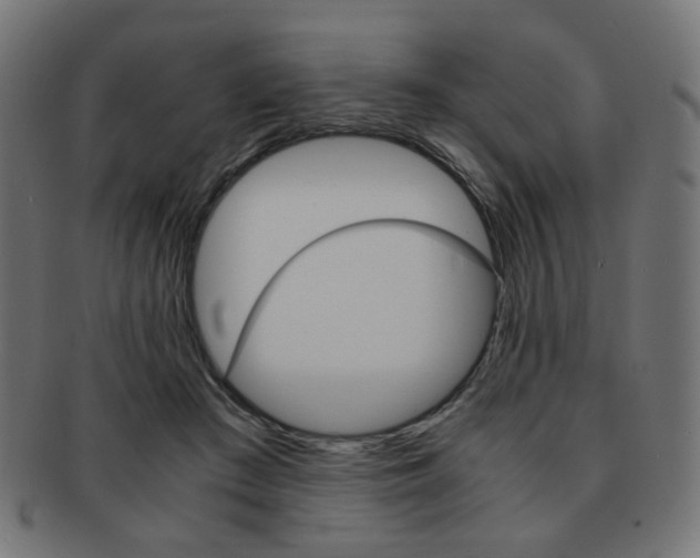 X0000092020409200709061334
