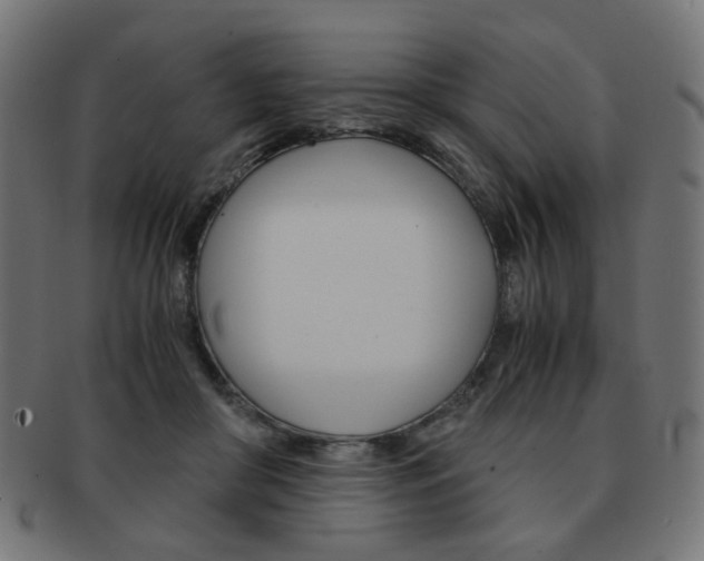 X0000092020410200709061334
