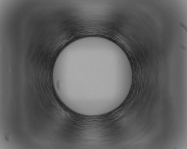X0000092020415200709061334