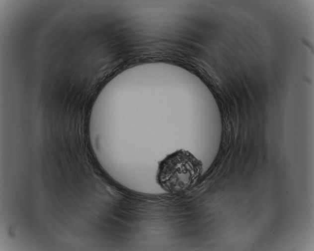 X0000092020416200709061334
