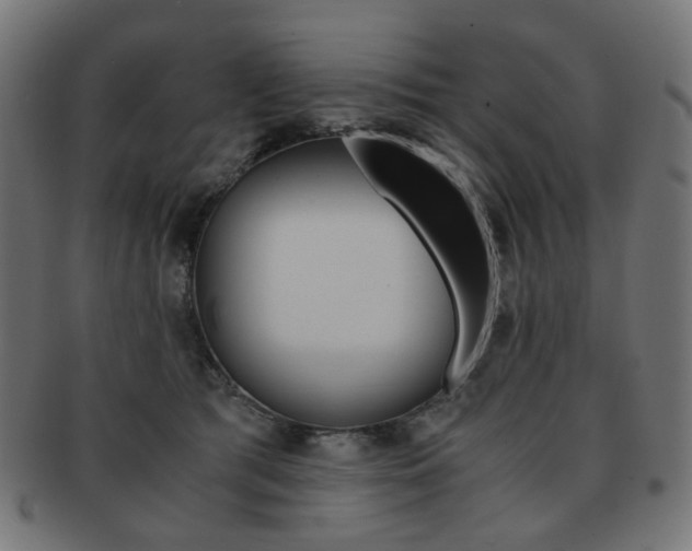 X0000092020417200709061334