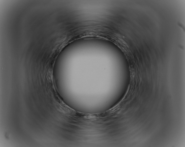 X0000092020419200709061334