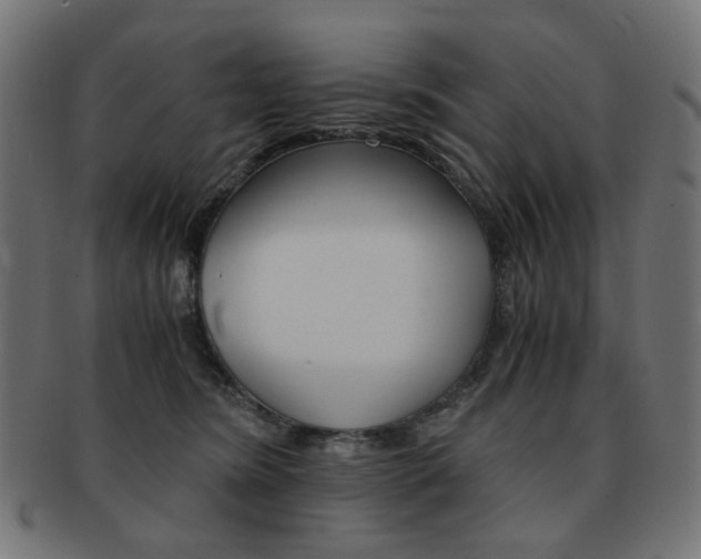 X0000092020420200709061334