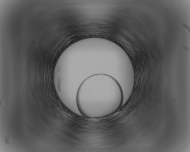 X0000092020421200709061333