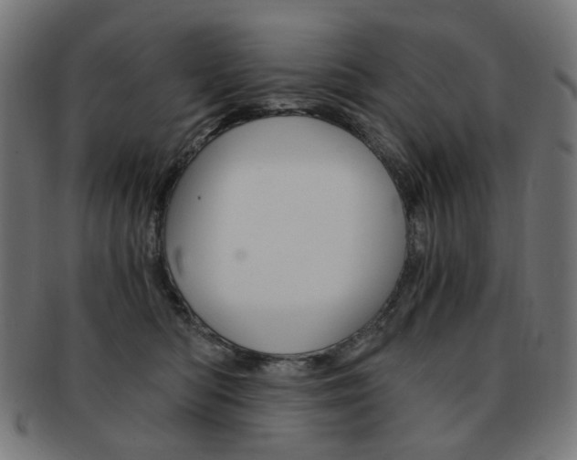 X0000092020422200709061333