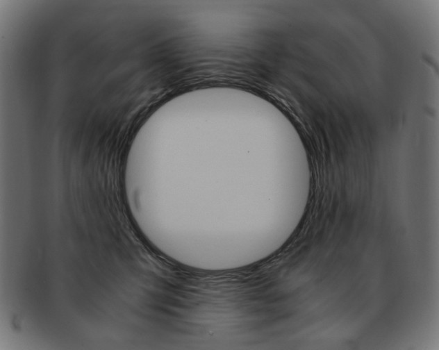 X0000092020423200709061333
