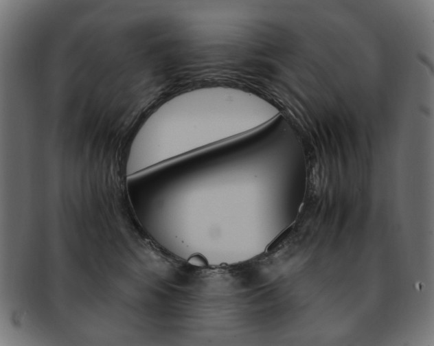 X0000092020424200709061333