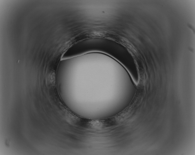 X0000092020425200709061333
