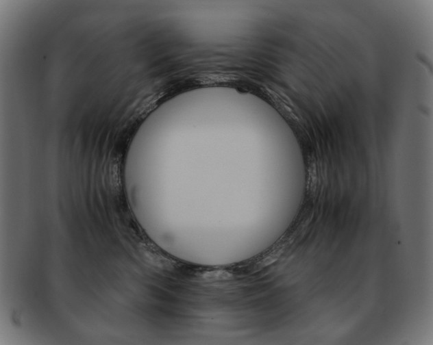 X0000092020426200709061333