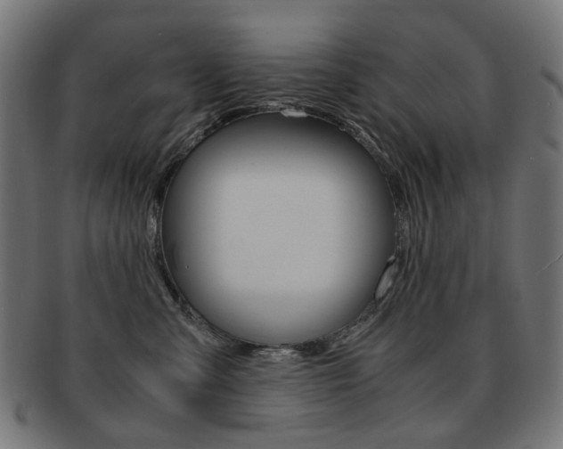 X0000092020427200709061333