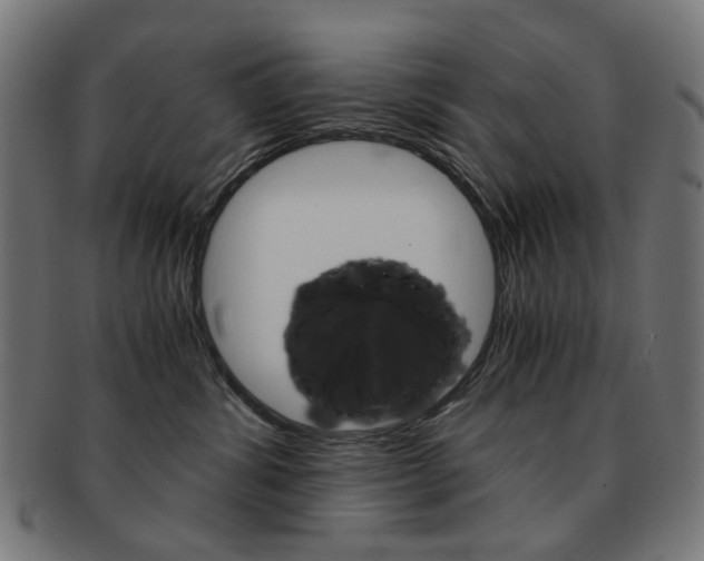 X0000092020428200709061333