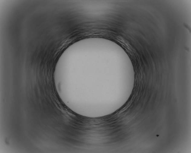 X0000092020429200709061333