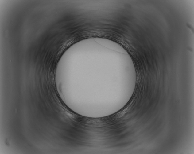 X0000092020431200709061333