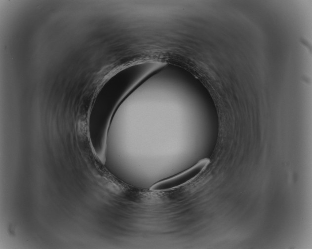 X0000092020432200709061333