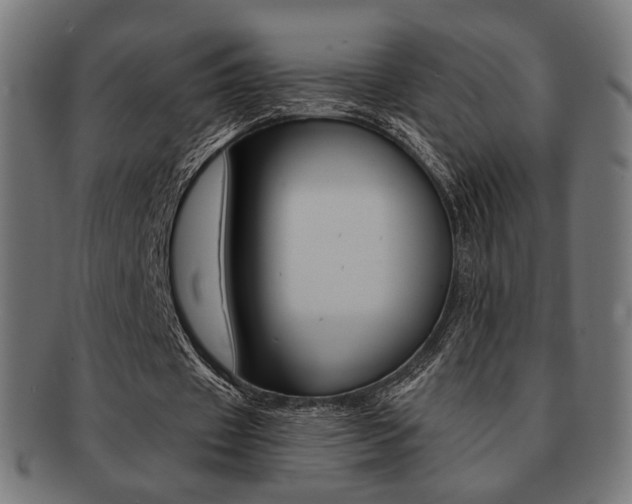 X0000092020433200709061333