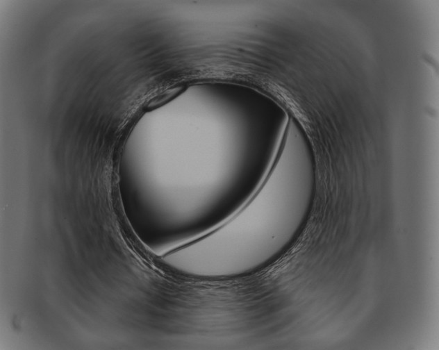 X0000092020434200709061333