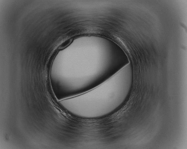 X0000092020435200709061333