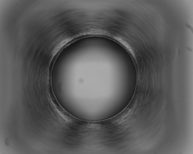 X0000092020437200709061333