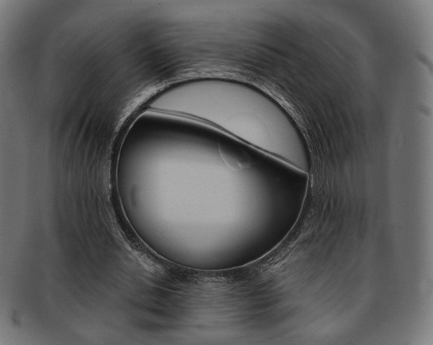 X0000092020438200709061333