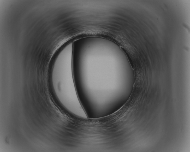 X0000092020440200709061333