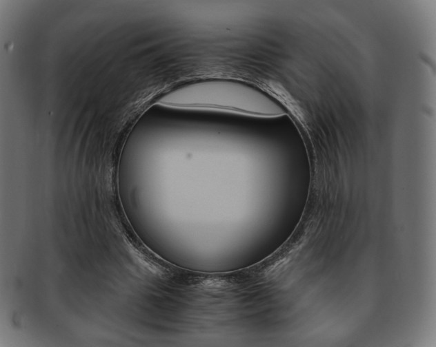 X0000092020441200709061333