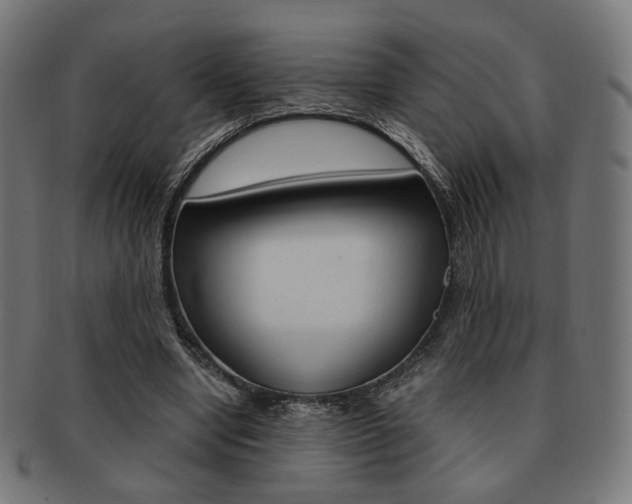 X0000092020442200709061333
