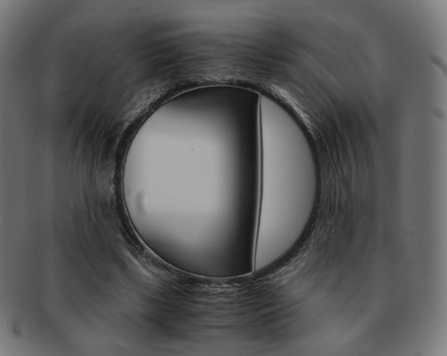 X0000092020443200709061333