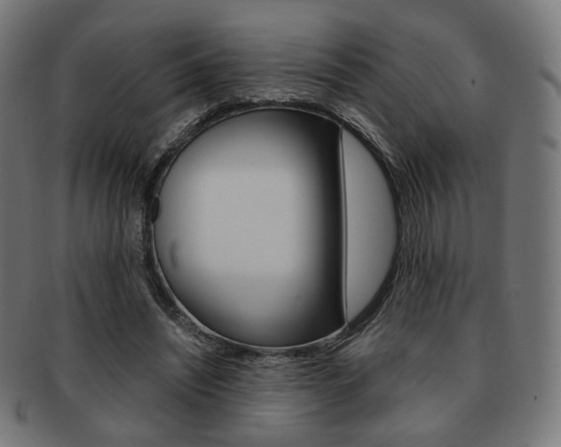 X0000092020444200709061333