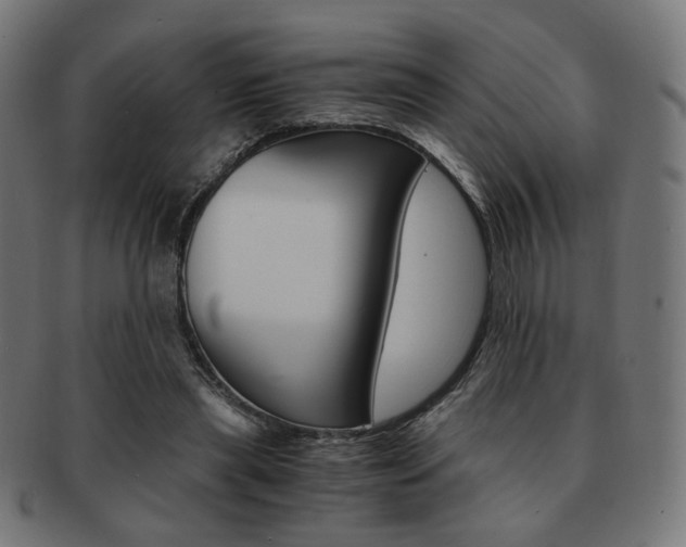 X0000092020445200709061333