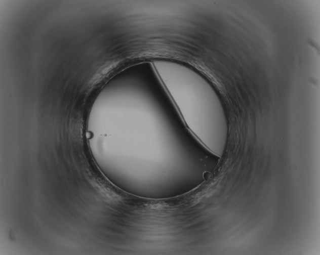 X0000092020446200709061333