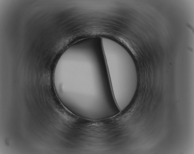 X0000092020447200709061333