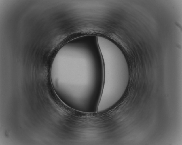 X0000092020448200709061333